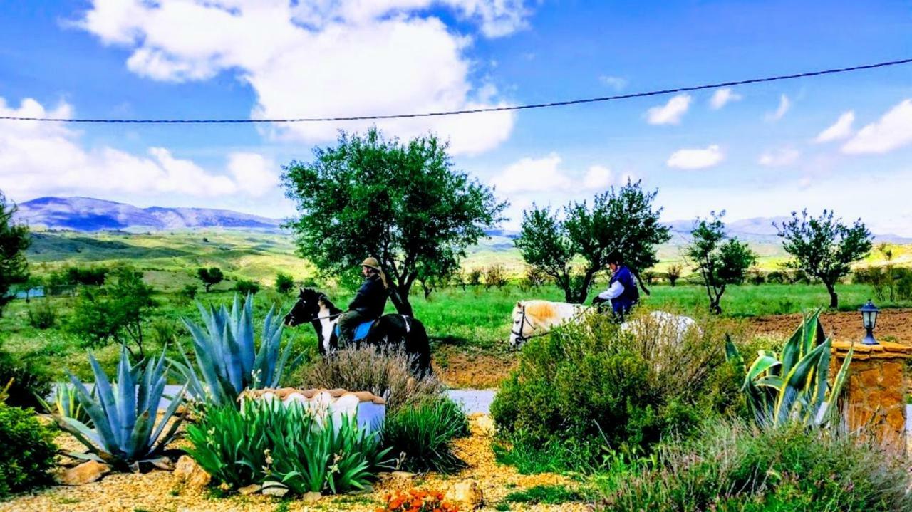 Casa Con Vistas Daire Serón Dış mekan fotoğraf